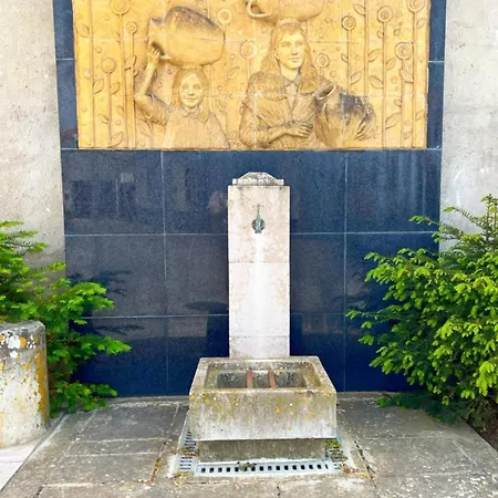 Amarelaje Serra d'El-Rei